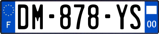 DM-878-YS