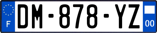 DM-878-YZ