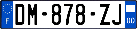 DM-878-ZJ