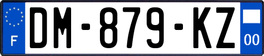 DM-879-KZ