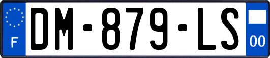 DM-879-LS