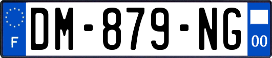 DM-879-NG