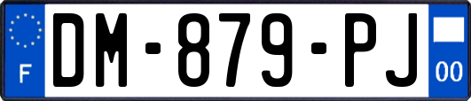 DM-879-PJ