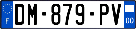 DM-879-PV