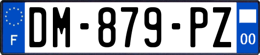 DM-879-PZ