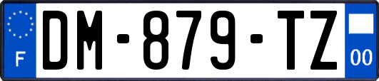 DM-879-TZ