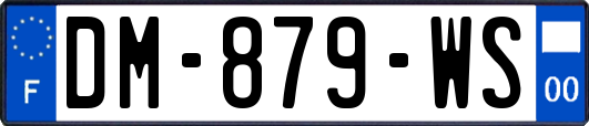 DM-879-WS