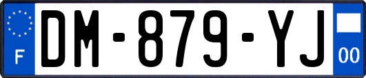 DM-879-YJ