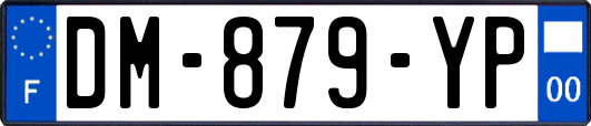 DM-879-YP