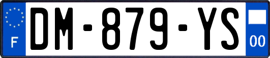 DM-879-YS