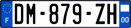 DM-879-ZH