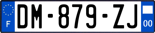 DM-879-ZJ