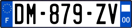 DM-879-ZV