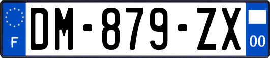 DM-879-ZX