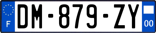 DM-879-ZY