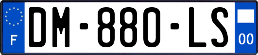 DM-880-LS