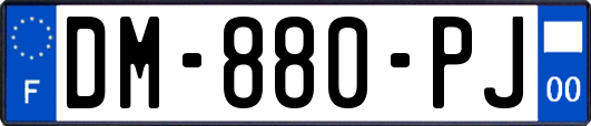 DM-880-PJ