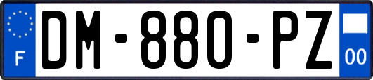 DM-880-PZ