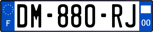 DM-880-RJ