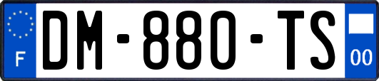 DM-880-TS