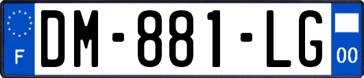 DM-881-LG