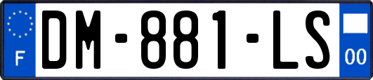 DM-881-LS