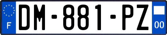 DM-881-PZ
