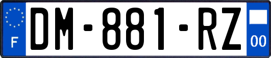 DM-881-RZ