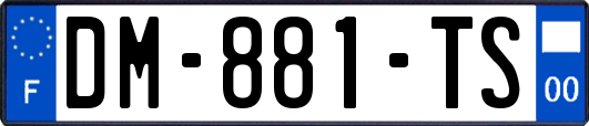 DM-881-TS