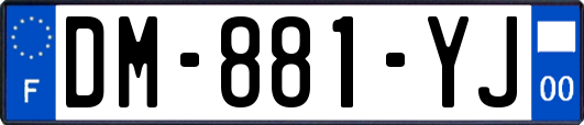 DM-881-YJ