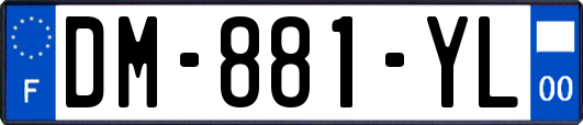 DM-881-YL