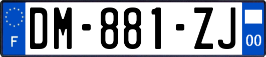 DM-881-ZJ