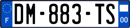DM-883-TS