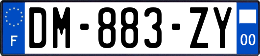 DM-883-ZY