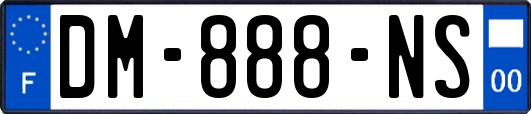 DM-888-NS