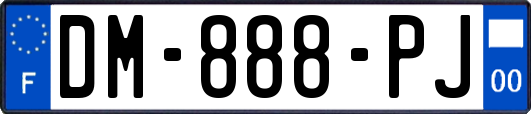 DM-888-PJ