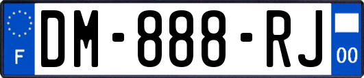 DM-888-RJ