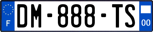 DM-888-TS