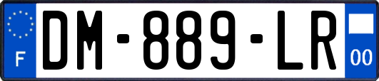 DM-889-LR