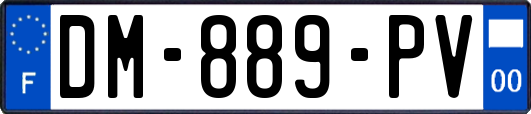 DM-889-PV