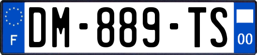 DM-889-TS