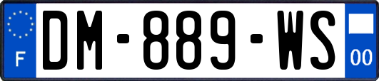 DM-889-WS