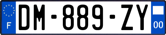 DM-889-ZY