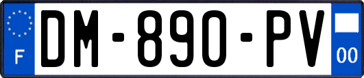 DM-890-PV