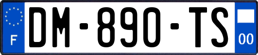 DM-890-TS