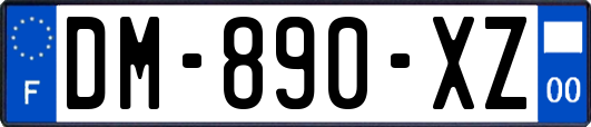 DM-890-XZ