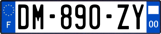 DM-890-ZY