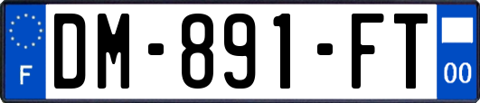 DM-891-FT