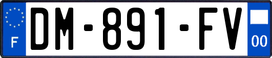 DM-891-FV