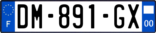 DM-891-GX